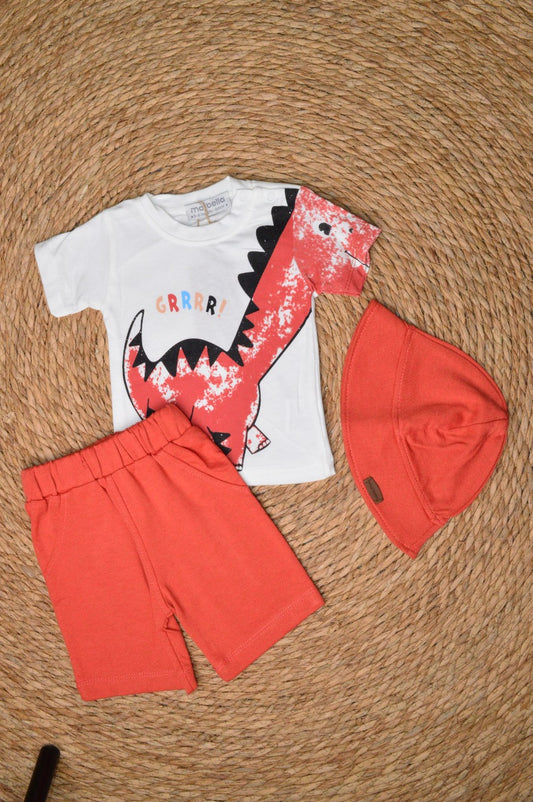Cotton set 2 pieces with a hat