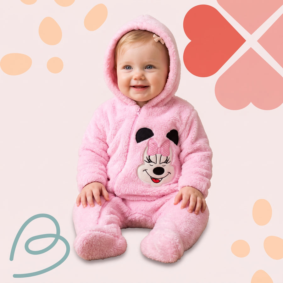 Wellsoft overall