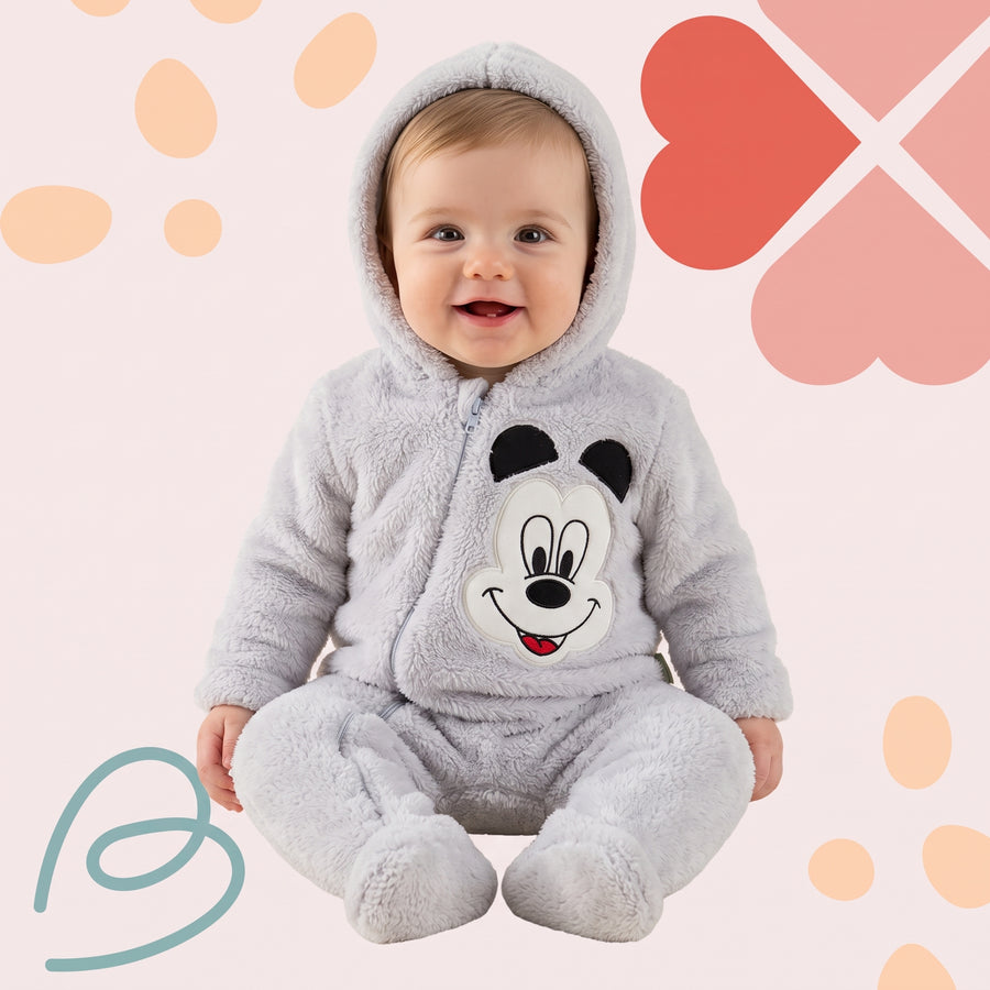 Wellsoft overall