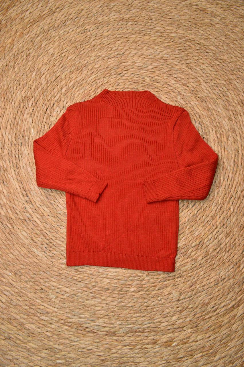 Wool Turtleneck